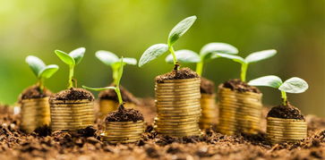 股權(quán)融資也講究天時(shí)地利人和 如何防止a輪融資被虐