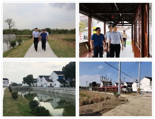 白墻黑瓦 水清路明,江陰的農(nóng)村正越來越美