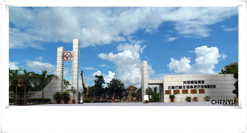 光明食品集團(tuán)云南石斛生物科技開(kāi)發(fā)與生物技術(shù)開(kāi)發(fā)服務(wù)