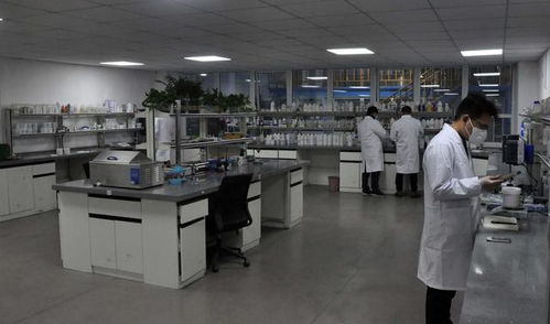 豫企研發(fā)長(zhǎng)效防疫抗菌新品 抑菌率達(dá)100% 生物技術(shù)賦能健康未來